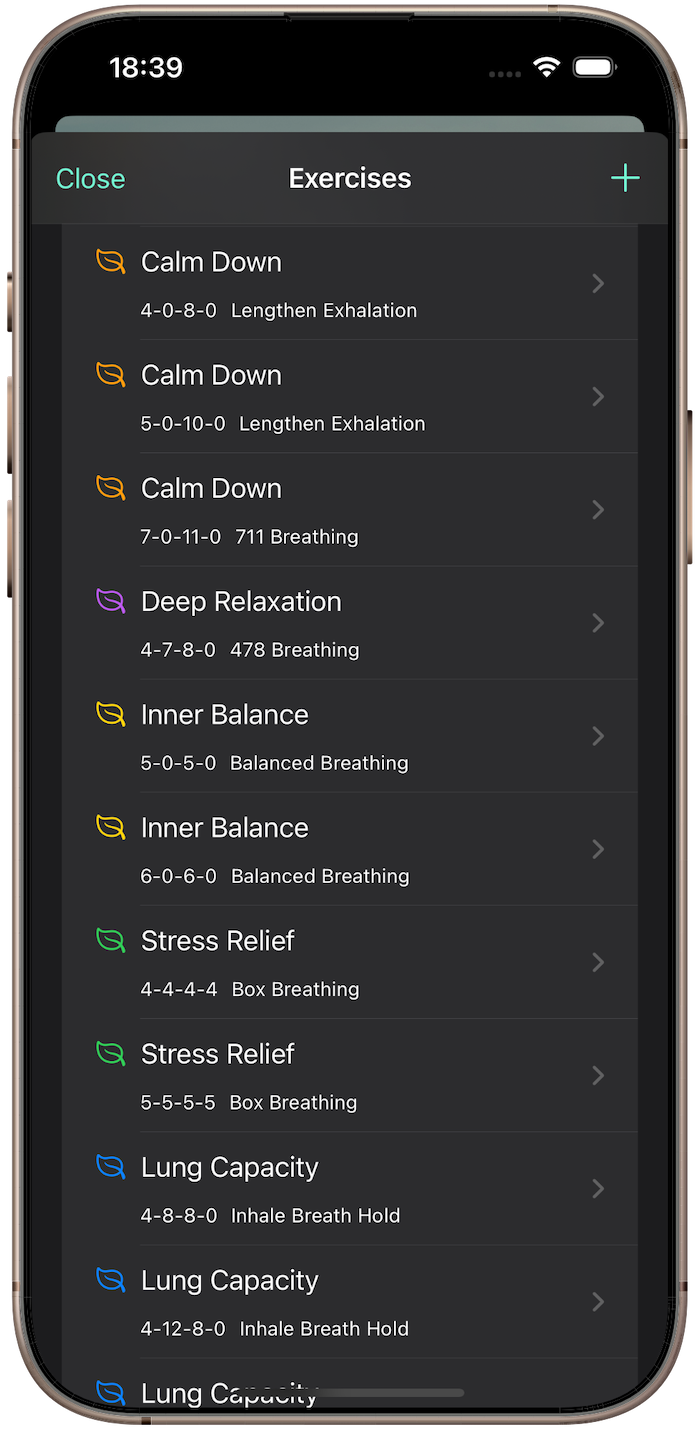 Image of the main exercise window
